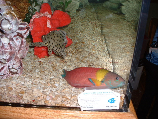 DSCF0083.JPG