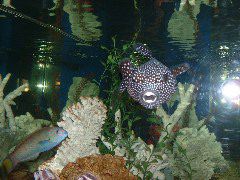 DSCF0082.JPG
