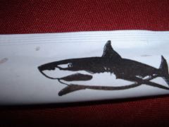 DSCF0093.JPG